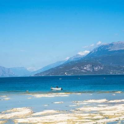 皇冠体育下载地址