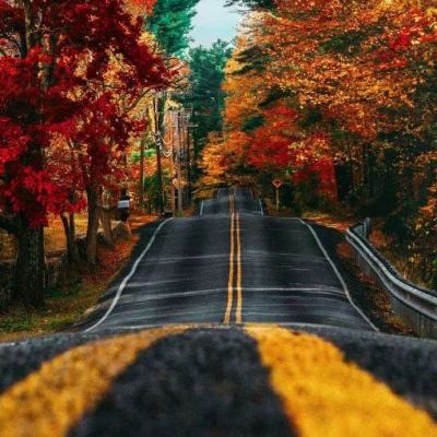 大四喜手机app下载